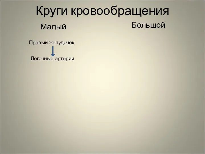 Круги кровообращения Малый Большой Правый желудочек Легочные артерии