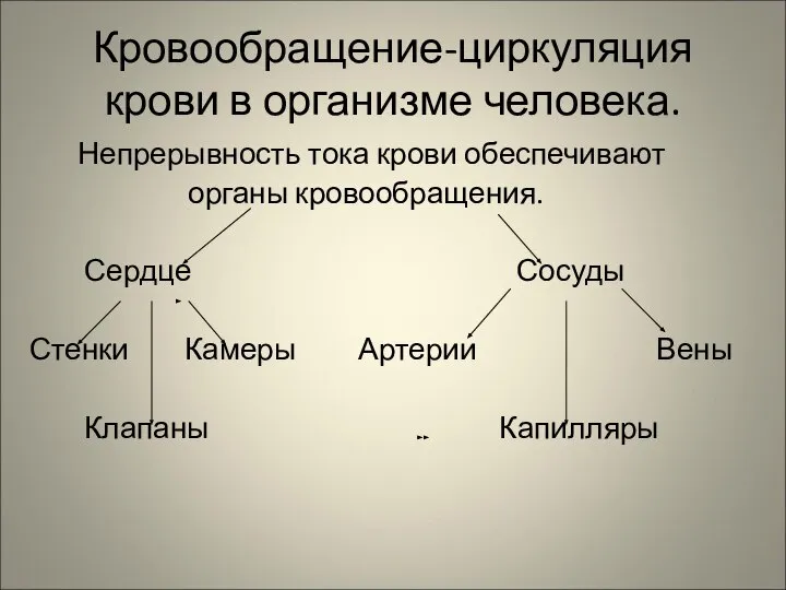 Кровообращение-циркуляция крови в организме человека. Непрерывность тока крови обеспечивают органы кровообращения.