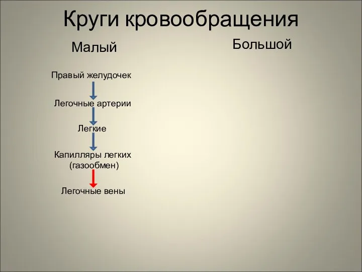 Круги кровообращения Малый Большой Правый желудочек Легочные артерии Легкие Капилляры легких (газообмен) Легочные вены