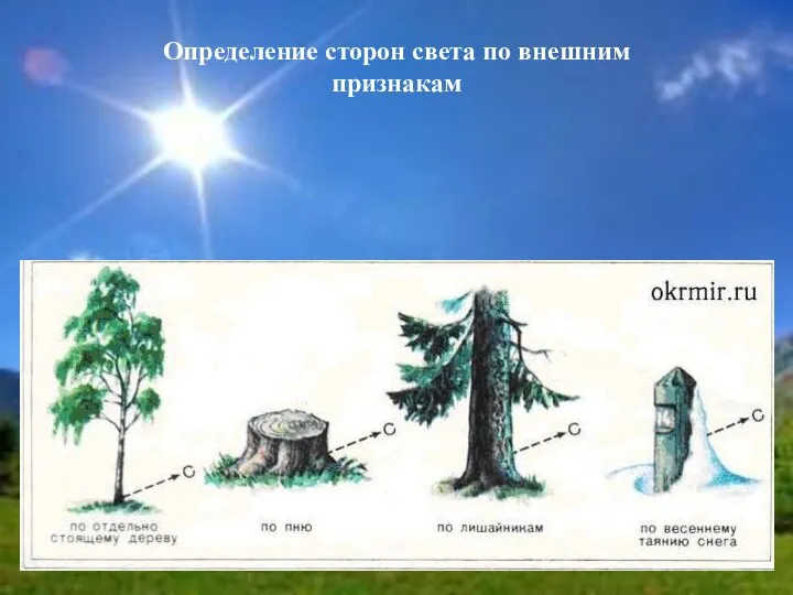 Определение сторон света по внешним признакам