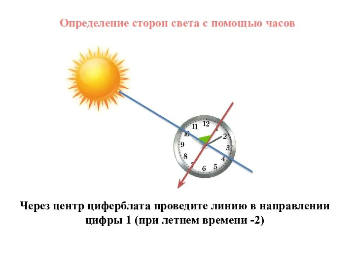 Определение сторон света с помощью часов Через центр циферблата проведите линию