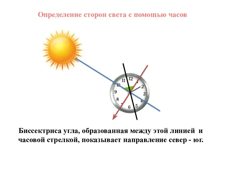 Определение сторон света с помощью часов Биссектриса угла, образованная между этой