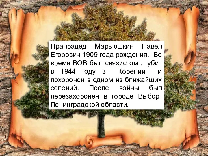 Прапрадед Марьюшкин Павел Егорович 1909 года рождения. Во время ВОВ был