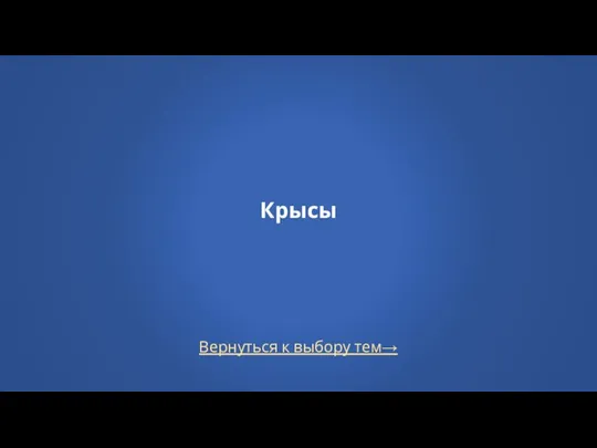 Вернуться к выбору тем→ Крысы