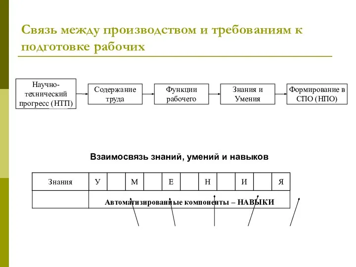 Связь между производством и требованиям к подготовке рабочих Взаимосвязь знаний, умений и навыков