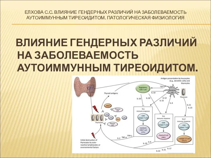 ЕЛХОВА С.С. ВЛИЯНИЕ ГЕНДЕРНЫХ РАЗЛИЧИЙ НА ЗАБОЛЕВАЕМОСТЬ АУТОИММУННЫМ ТИРЕОИДИТОМ. ПАТОЛОГИЧЕСКАЯ ФИЗИОЛОГИЯ