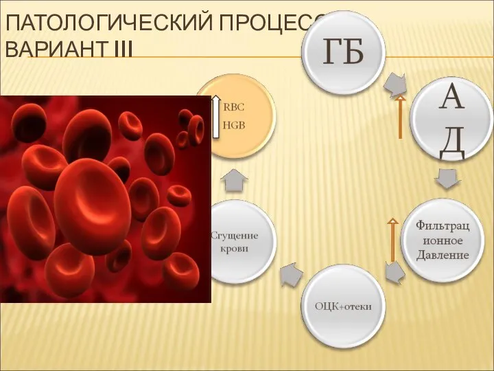 ПАТОЛОГИЧЕСКИЙ ПРОЦЕСС. ВАРИАНТ III