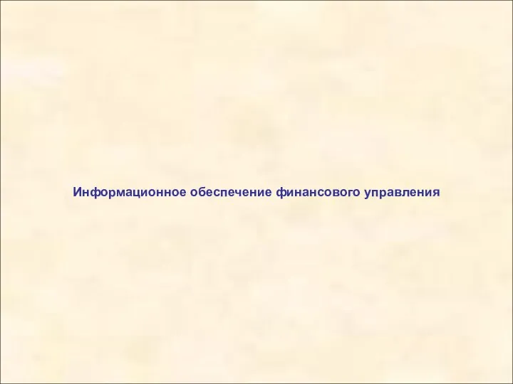 Информационное обеспечение финансового управления