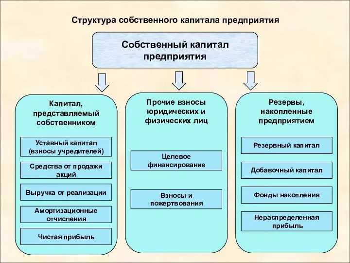 Структура собственного капитала предприятия Собственный капитал предприятия Амортизационные отчисления Чистая прибыль