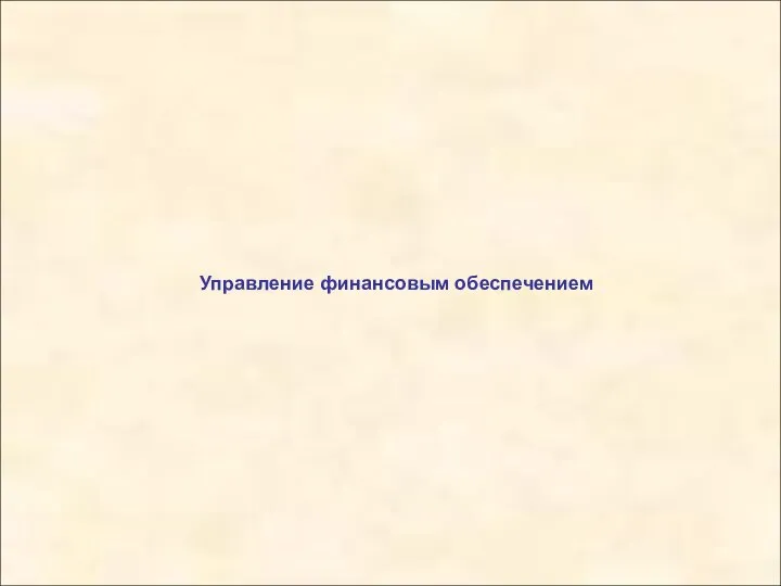 Управление финансовым обеспечением