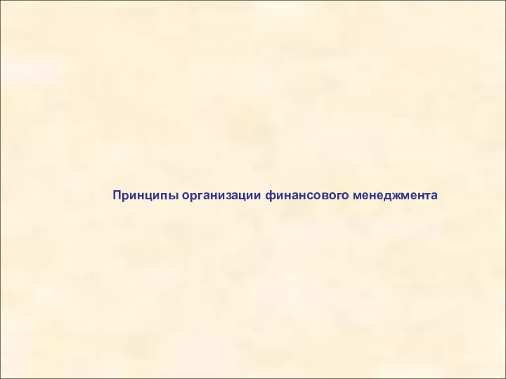 Принципы организации финансового менеджмента