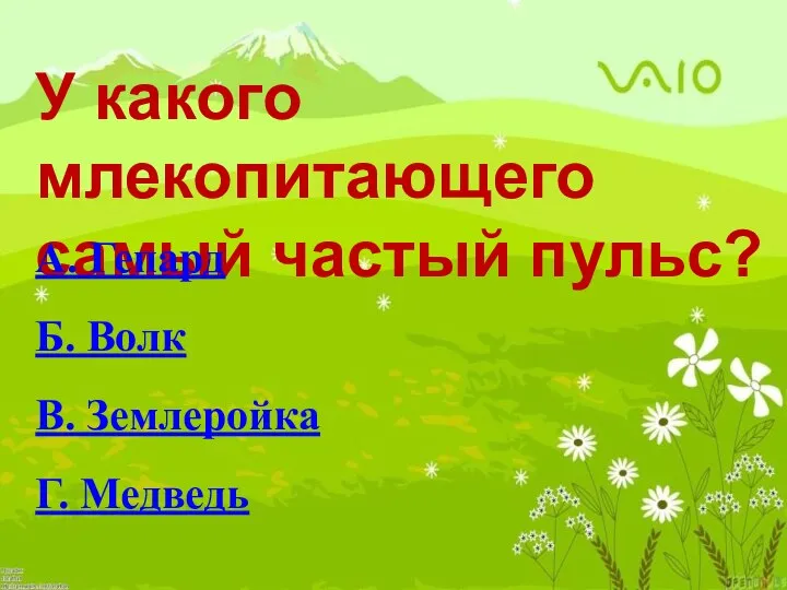 У какого млекопитающего самый частый пульс? А. Гепард Б. Волк В. Землеройка Г. Медведь