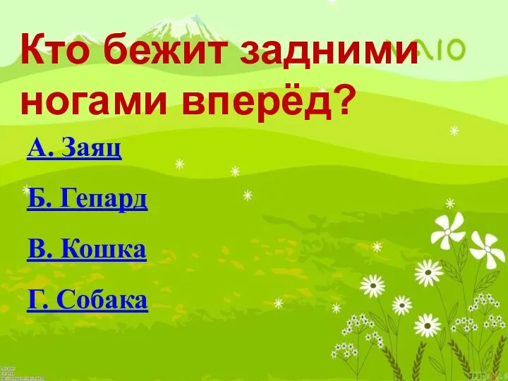 Кто бежит задними ногами вперёд? А. Заяц Б. Гепард В. Кошка Г. Собака