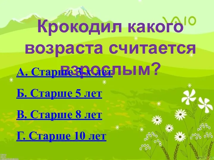 Крокодил какого возраста считается взрослым? А. Старше 3-х лет Б. Старше