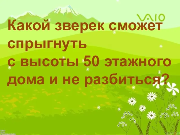 Какой зверек сможет спрыгнуть с высоты 50 этажного дома и не разбиться?