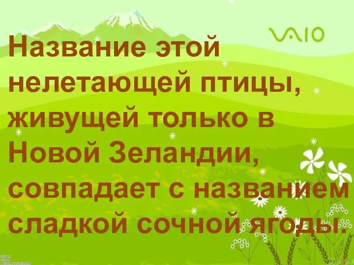 Название этой нелетающей птицы, живущей только в Новой Зеландии, совпадает с названием сладкой сочной ягоды.