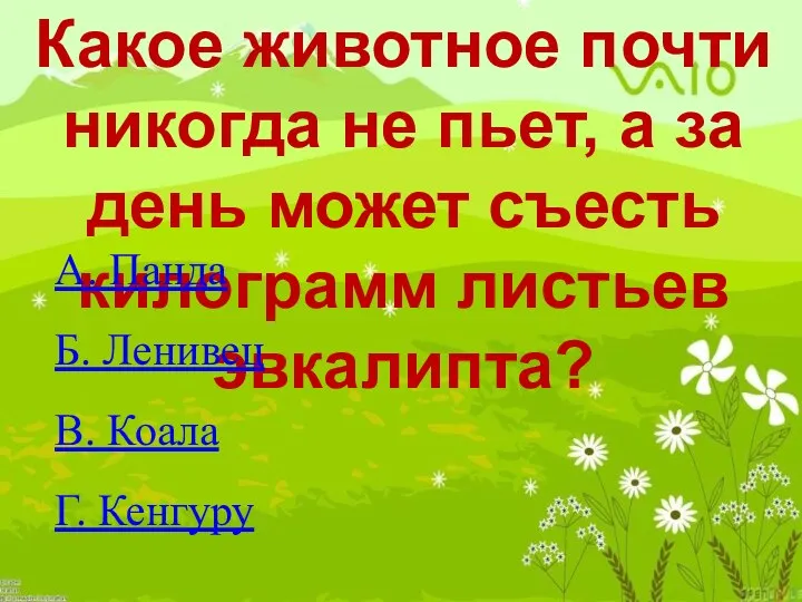 Какое животное почти никогда не пьет, а за день может съесть