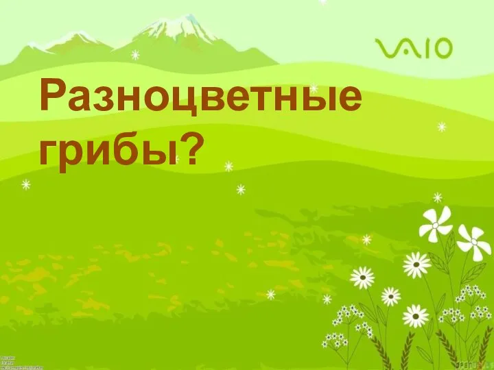 Разноцветные грибы?