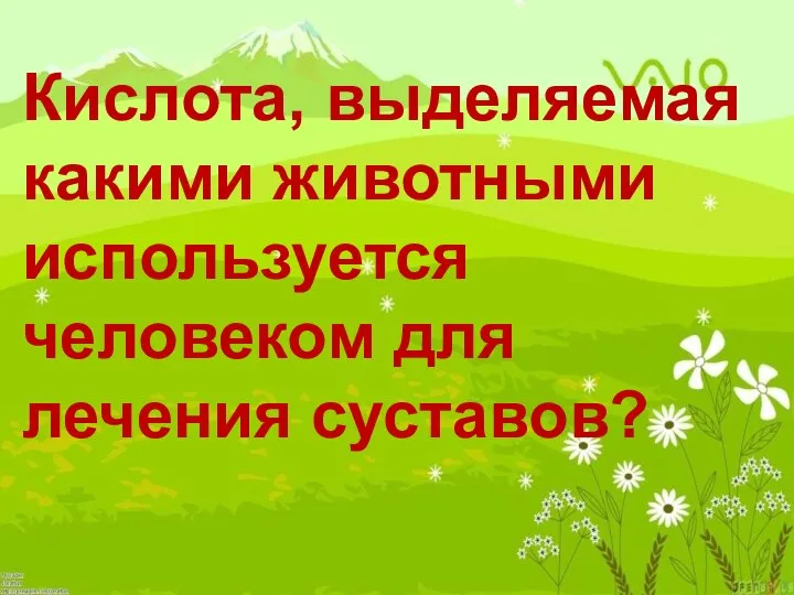 Кислота, выделяемая какими животными используется человеком для лечения суставов?