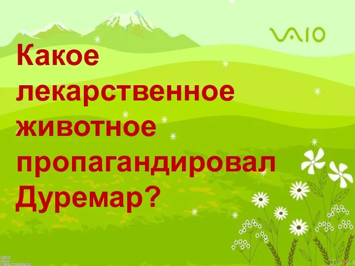 Какое лекарственное животное пропагандировал Дуремар?