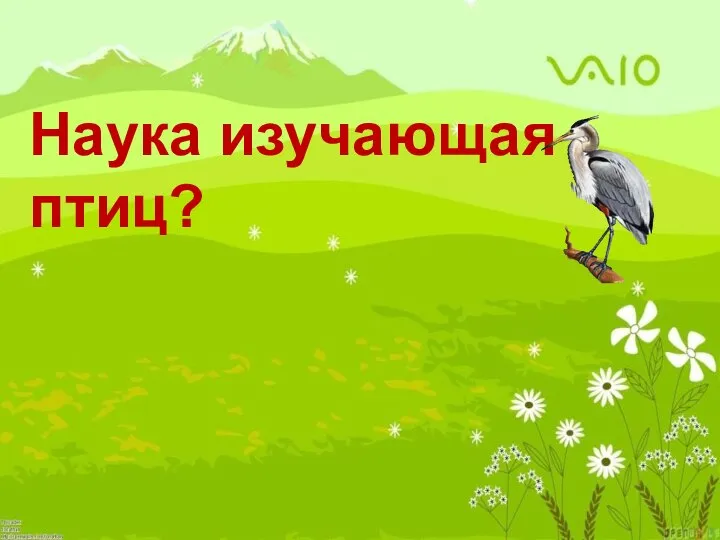 Наука изучающая птиц?