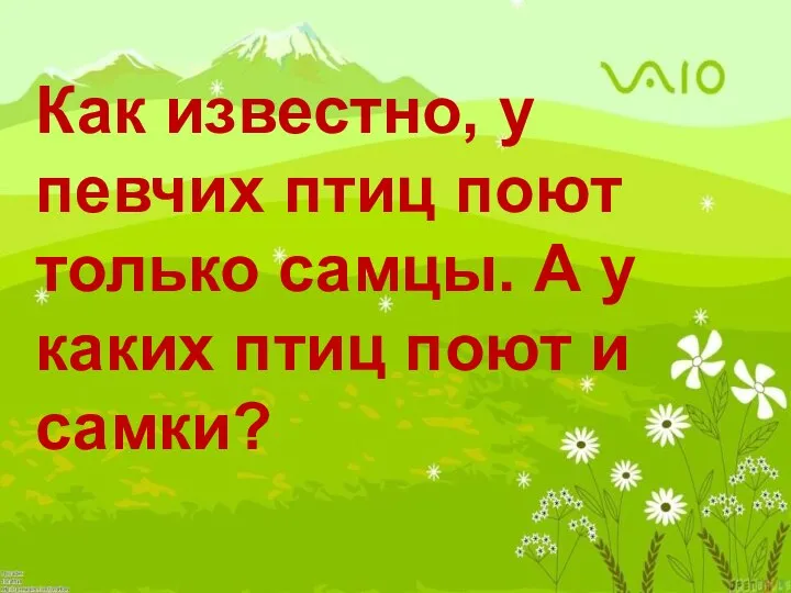 Как известно, у певчих птиц поют только самцы. А у каких птиц поют и самки?