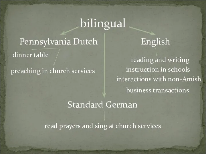 bilingual Pennsylvania Dutch English dinner table preaching in church services reading