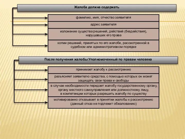Жалоба должна содержать фамилию, имя, отчество заявителя адрес заявителя изложение существа