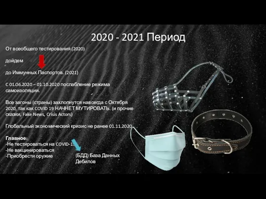 2020 - 2021 Период От всеобщего тестирования (2020) дойдем до Иммунных