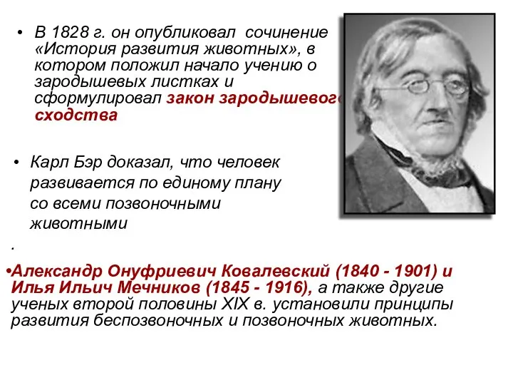 Карл Бэр доказал, что человек развивается по единому плану со всеми