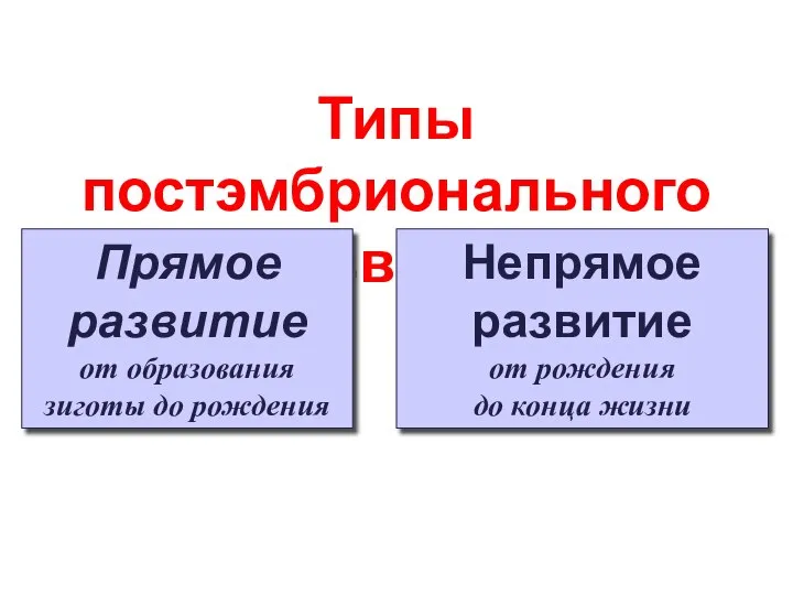 Типы постэмбрионального развития Прямое развитие от образования зиготы до рождения Непрямое