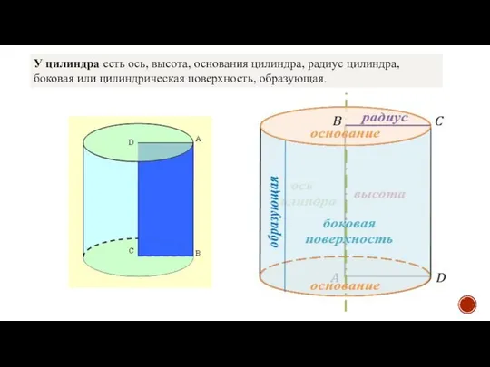У цилиндра есть ось, высота, основания цилиндра, радиус цилиндра, боковая или цилиндрическая поверхность, образующая.