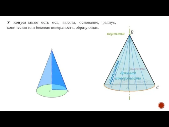У конуса также есть ось, высота, основание, радиус, коническая или боковая поверхность, образующая.