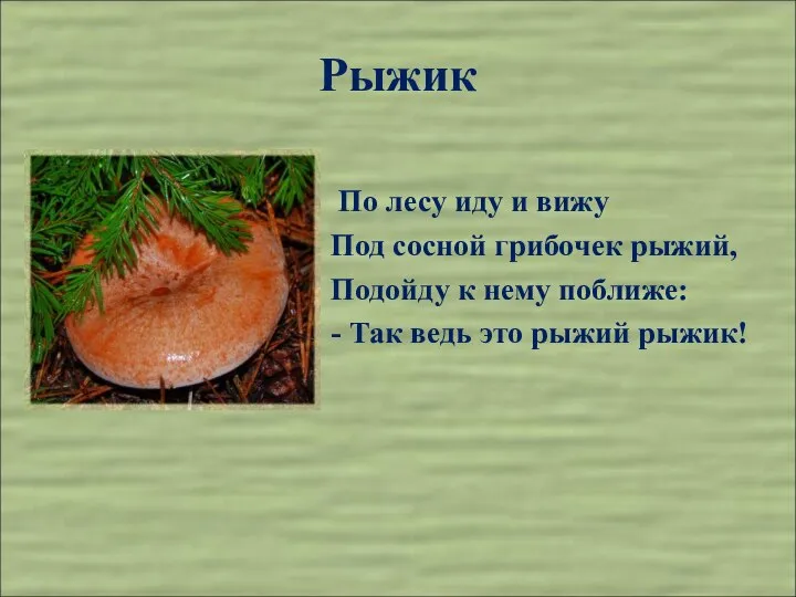 Рыжик По лесу иду и вижу Под сосной грибочек рыжий, Подойду