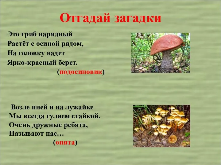 Отгадай загадки Это гриб нарядный Растёт с осиной рядом, На головку