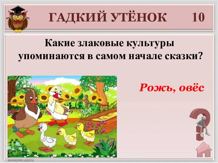 ГАДКИЙ УТЁНОК 10 Рожь, овёс Какие злаковые культуры упоминаются в самом начале сказки?