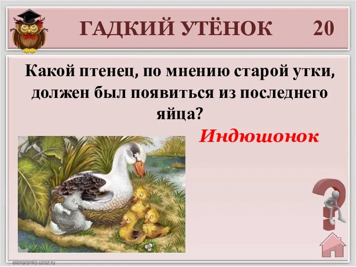 20 Индюшонок ГАДКИЙ УТЁНОК Какой птенец, по мнению старой утки, должен был появиться из последнего яйца?