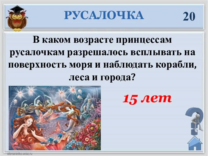 20 В каком возрасте принцессам русалочкам разрешалось всплывать на поверхность моря