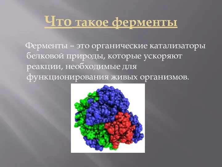 Что такое ферменты Ферменты – это органические катализаторы белковой природы, которые