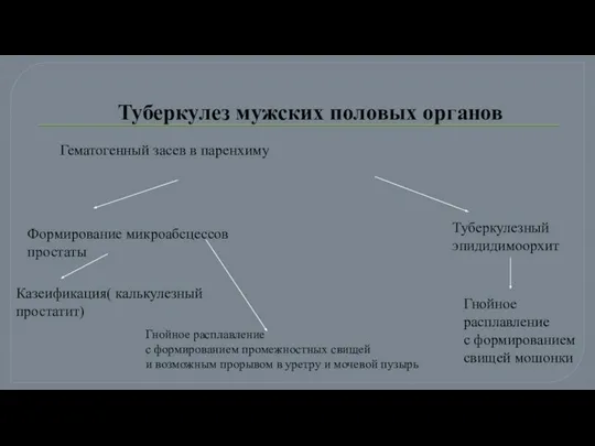 Туберкулез мужских половых органов Гематогенный засев в паренхиму Формирование микроабсцессов простаты