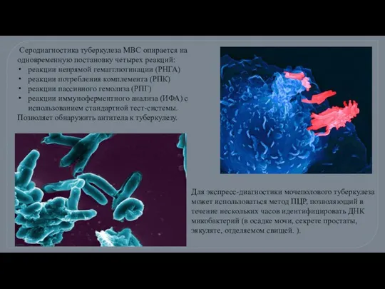 Серодиагностика туберкулеза МВС опирается на одновременную постановку четырех реакций: реакции непрямой