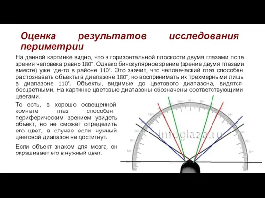 Оценка результатов исследования периметрии На данной картинке видно, что в горизонтальной