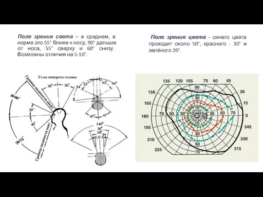 Поле зрения света – в среднем, в норме это 55° ближе