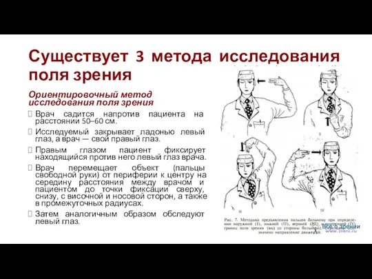 Существует 3 метода исследования поля зрения Ориентировочный метод исследования поля зрения