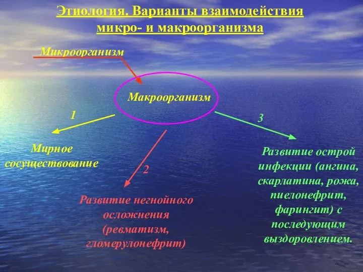 Этиология. Варианты взаимодействия микро- и макроорганизма Макроорганизм Микроорганизм Мирное сосуществование Развитие