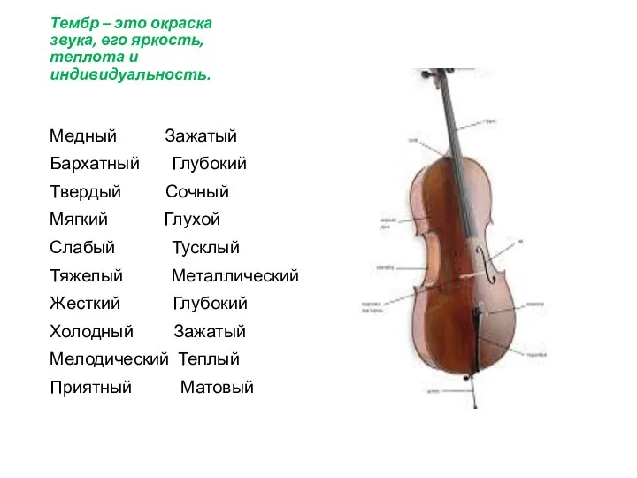 Тембр – это окраска звука, его яркость, теплота и индивидуальность. Медный