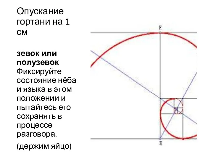 Опускание гортани на 1 см зевок или полузевок Фиксируйте состояние нёба