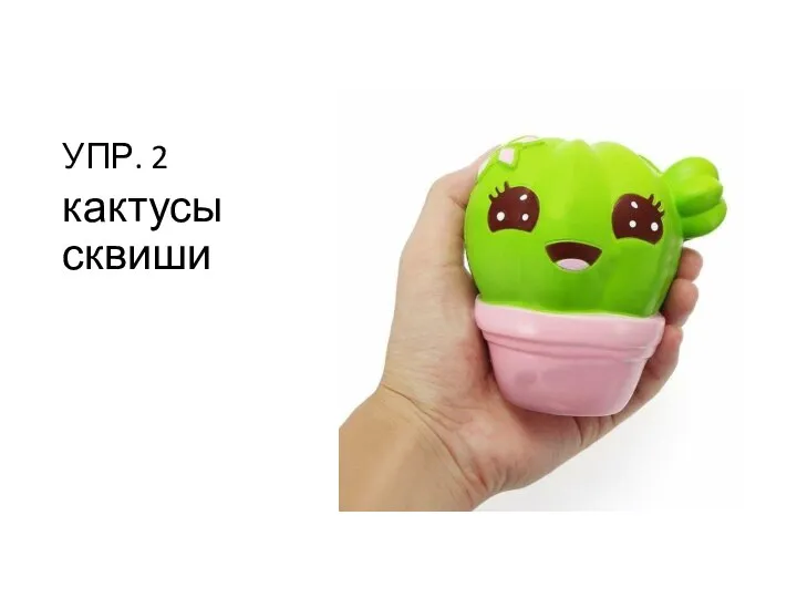 УПР. 2 кактусы сквиши