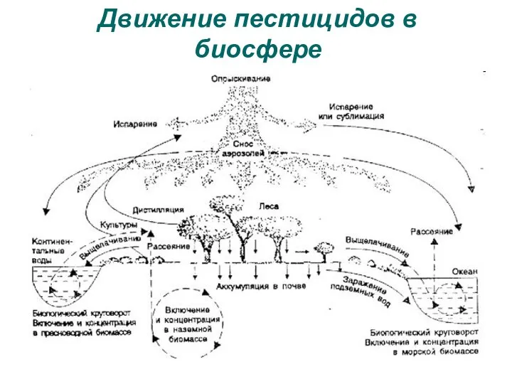 Движение пестицидов в биосфере