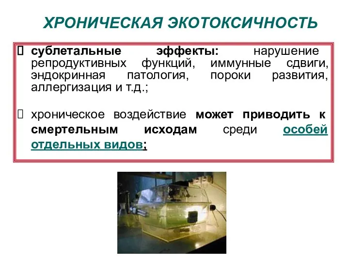 ХРОНИЧЕСКАЯ ЭКОТОКСИЧНОСТЬ сублетальные эффекты: нарушение репродуктивных функций, иммунные сдвиги, эндокринная патология,